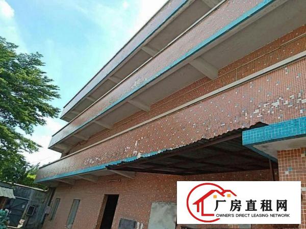  万江环城路旁单一层钢结构带隔热厂房2000平方出租可办环评