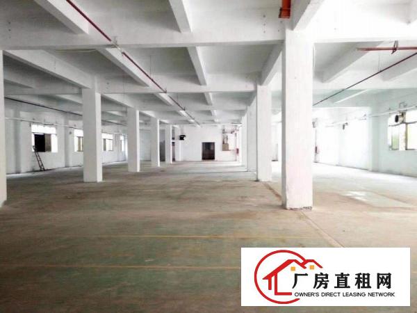  万江石美标准一楼600平方招租(有宿舍)水电齐全，厂区空地大