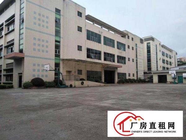  万江工业区2楼2000平米独院标准厂房招租形象好、交通方便