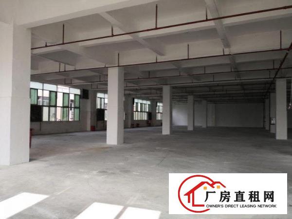 万江流涌尾(现成装修)标准一楼1400平方招租