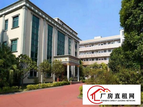  出租万江江滨花园万江黄粘洲单一层钢构厂房出租