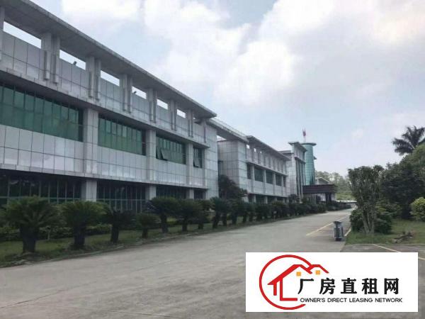  出租万江江滨花园万江黄粘洲单一层钢构厂房出租