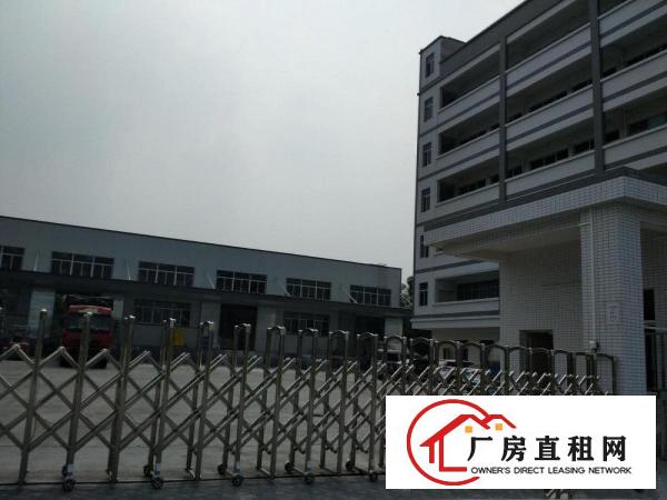  万江客运总站万江独院标准一楼厂房出租