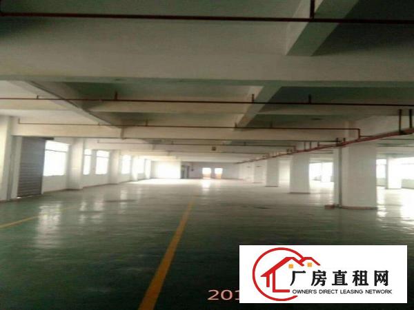  万江客运总站万江客运总站万江小型独院一楼厂房仓库低价出租