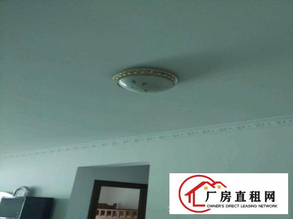  万江客运总站万江客运总站万江小型独院一楼厂房仓库低价出租