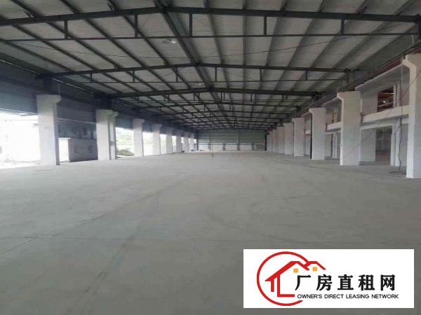  万江小型仓库厂房直租,水电齐全,现成装修