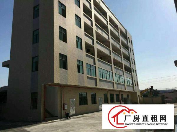  万江石美万江小型仓库厂房直租,水电齐全,现成装修
