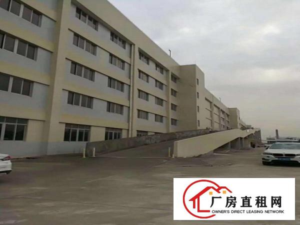  万江客运总站万江工业区大量标准一楼厂房出租