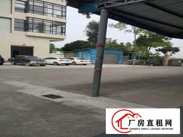  万江客运总站万江工业区大量标准一楼厂房出租