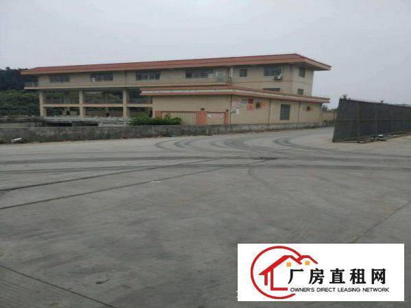  出租万江客运总站出租万江客运总站万江高埗各种大量楼上300至