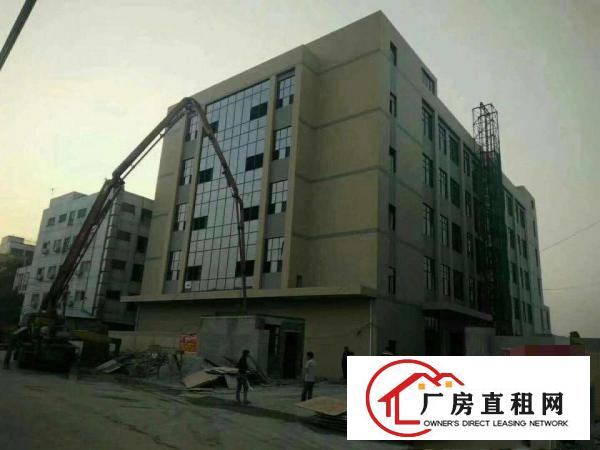  万江石美万江业主小型厂房仓库直租,水电齐