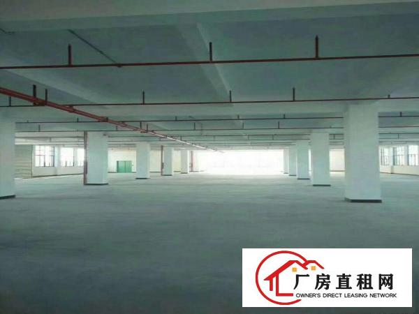  万江石美万江业主小型厂房仓库直租,水电齐