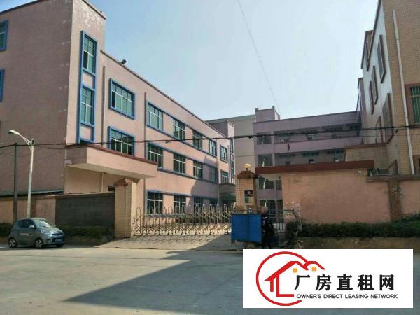  万江石美万江业主小型厂房仓库直租,水电齐