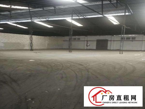  万江石美万江业主小型厂房仓库直租,水电齐