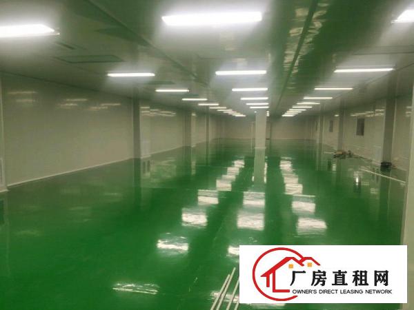  拔蛟窝工业区独门独院4000平厂房可以任意分租