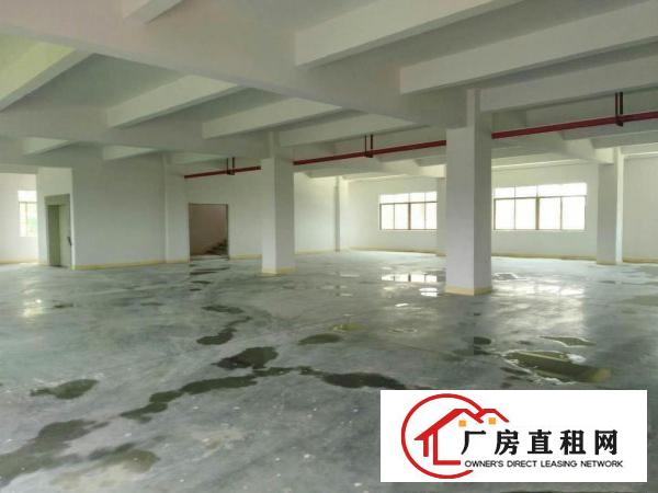  万江周边工业区标准厂房4000平方出租宿舍 饭堂1200平方