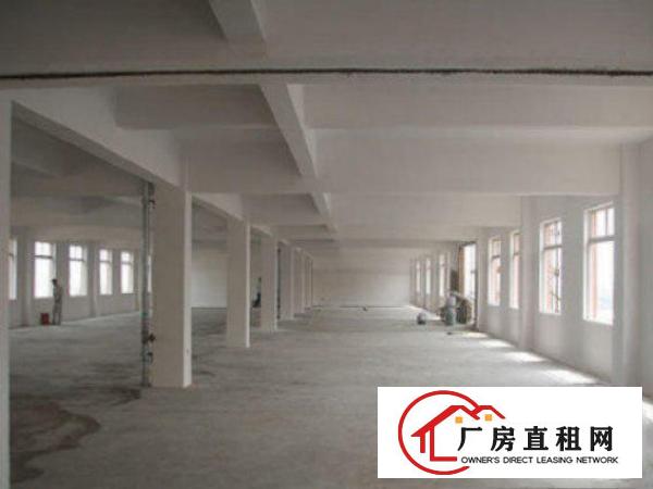  万江标准一楼厂房800或1000㎡出租(配套齐全工业区环境好