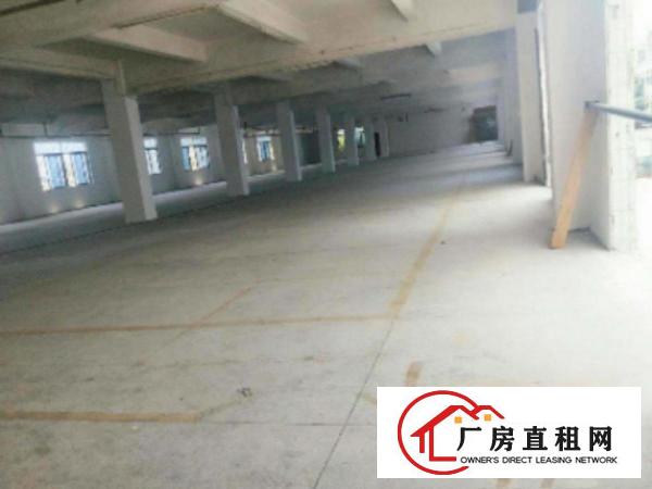  万江带现成装修标准一楼700或900平方招租