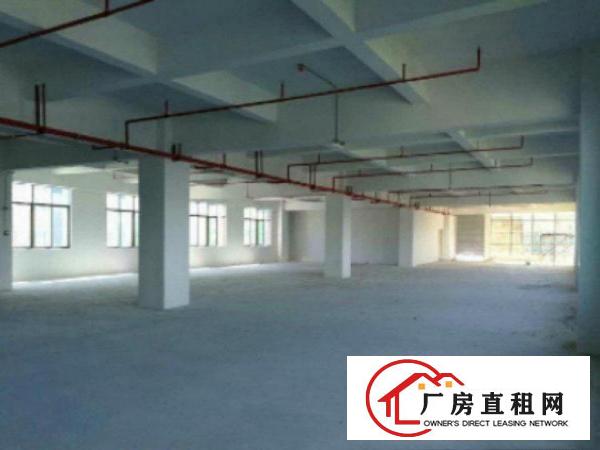  万江现成装修标准一楼800平方招租2间办公室装修，现成水电