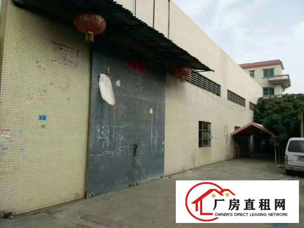  出租万江石美道滘,万江,高步.中堂,望牛墩麻涌大量厂房仓库出