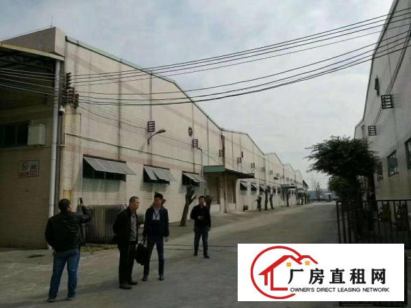  出租万江石美道滘,万江,高步.中堂,望牛墩麻涌大量厂房仓库出