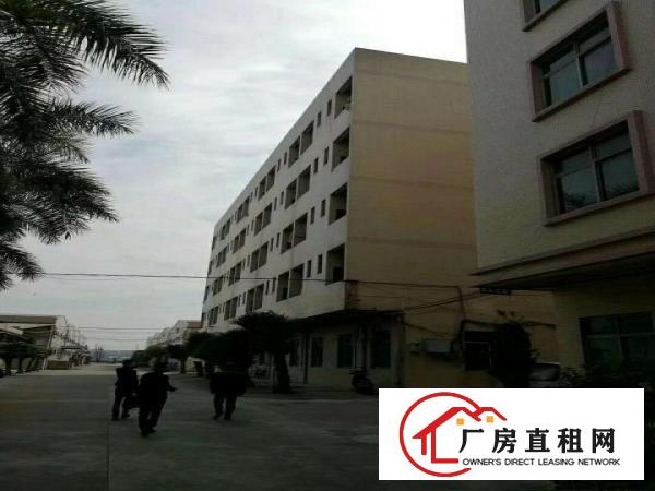  出租万江石美道滘,万江,高步.中堂,望牛墩麻涌大量厂房仓库出