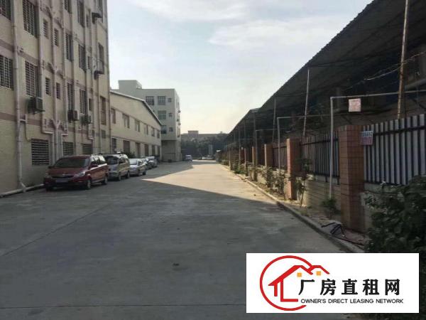  出租万江客运总站万江石美万江周边大量小型独院厂房招租
