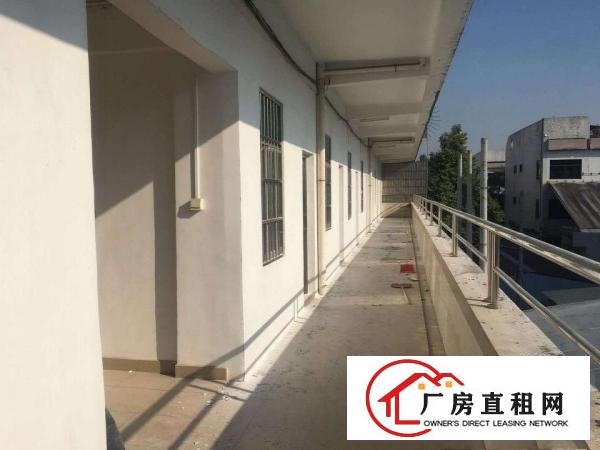  出租万江客运总站万江石美万江周边大量小型独院厂房招租