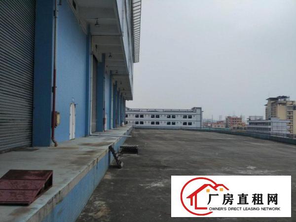  万江客运总站东莞大型仓库出租东莞物流仓储招租带升降平台