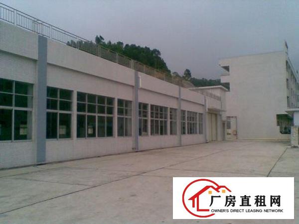  万江客运总站万江道滘周边大量工业园漂亮厂房出租