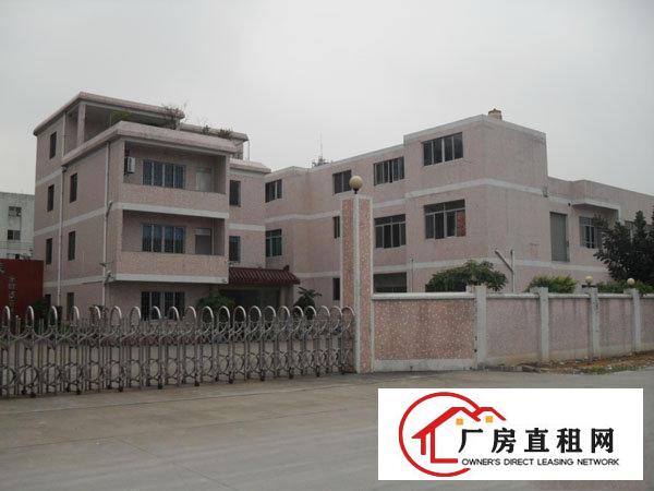  万江客运总站万江道滘周边大量工业园漂亮厂房出租