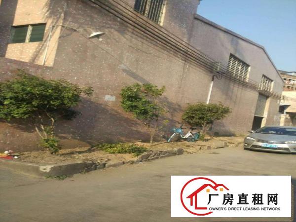  出租万江万江中心出租万江石美万江业主水电齐全带现成装修厂房仓