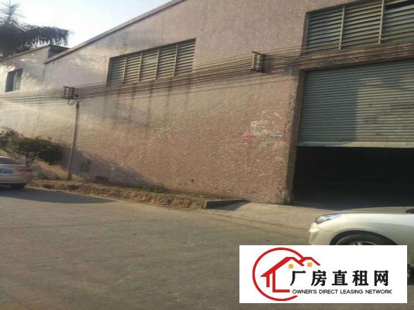 出租万江万江中心出租万江石美万江业主水电齐全带现成装修厂房仓