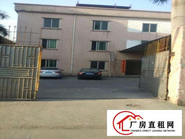  出租万江万江中心出租万江石美万江业主水电齐全带现成装修厂房仓