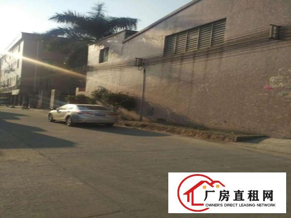 出租万江万江中心出租万江石美万江业主水电齐全带现成装修厂房仓