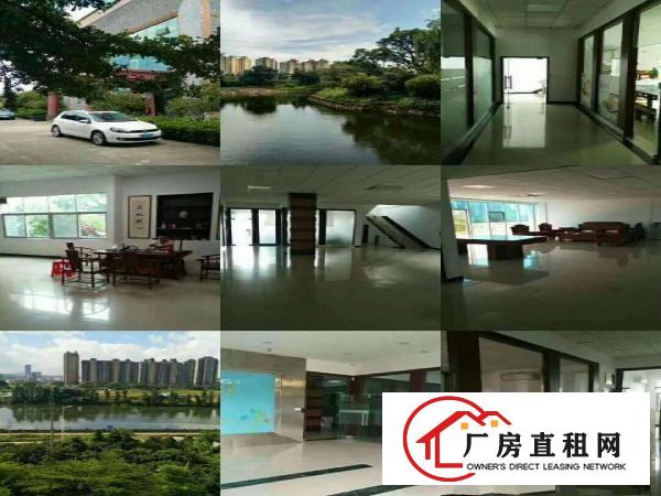  出租万江万江中心万江业主小型厂房仓库直租,水电齐全,现成装修