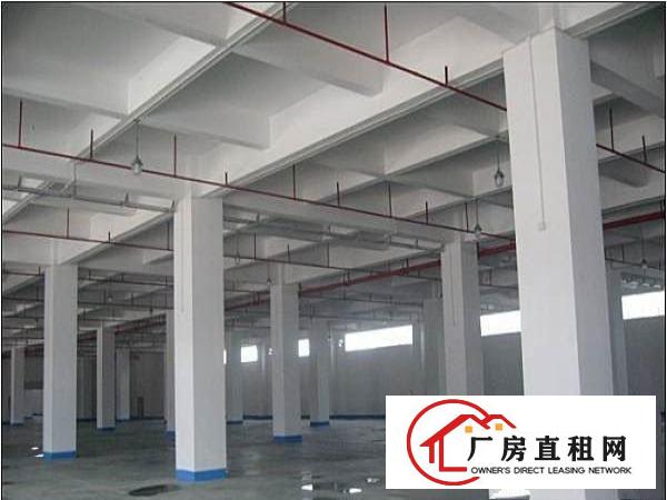  出租万江客运总站出租万江客运总站出租万江客运总站东莞南城区1