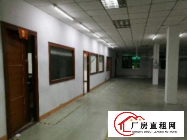  万江107国道旁工业区新出单一层厂房1000平方出租仓库生产