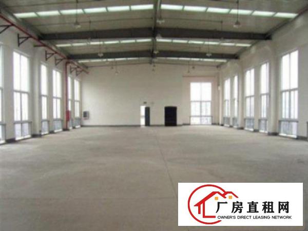  东莞市万江区2000平米独院单一层钢构厂房招租