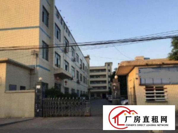  万江石美带现成办公室标准一楼800平方急租空地大交通方便