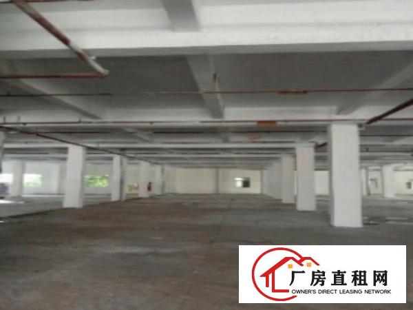  万江工业区标准一楼1200平方招租水电齐全适合机械、五金塑胶