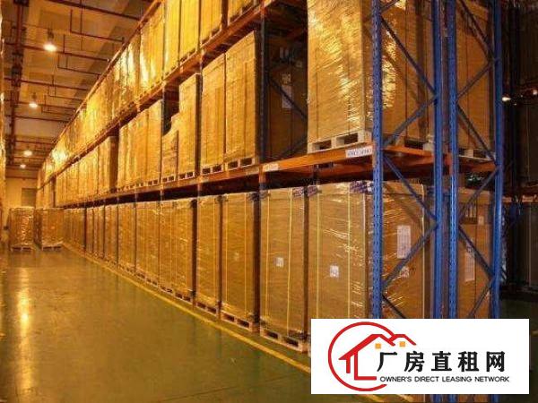  出租万江万江周边出租万江客运总站万江周边大量独院标准厂房招租