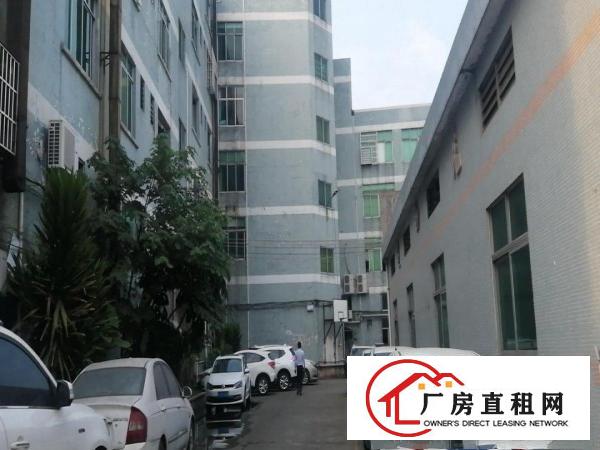  万江原房东独门独院带消防喷淋5000平方喷漆家具环评