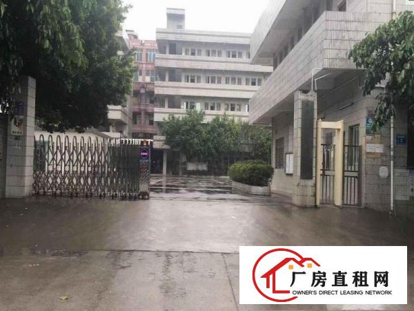  万江一楼500平方厂房出租现成办公室装修，水电齐全