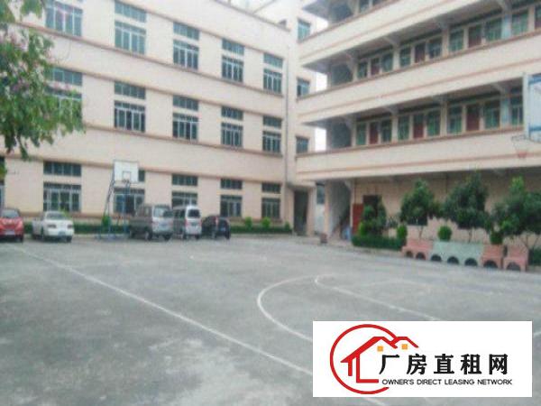  万江带现成装修标准一楼500或1200平方招租现成水电