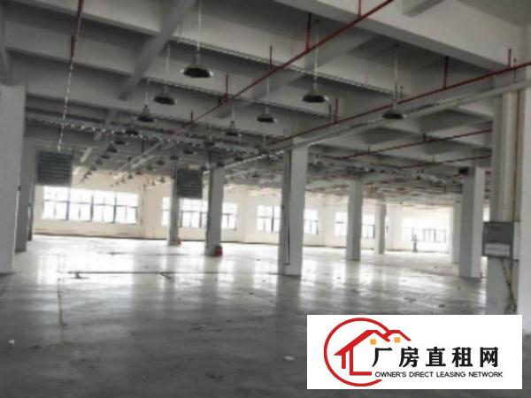  万江厂房一楼600平方，2间办公室装修，现成水电，宿舍按需