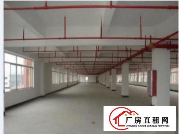  万江工业区标准一楼1500平方招租水电齐全带现成装修
