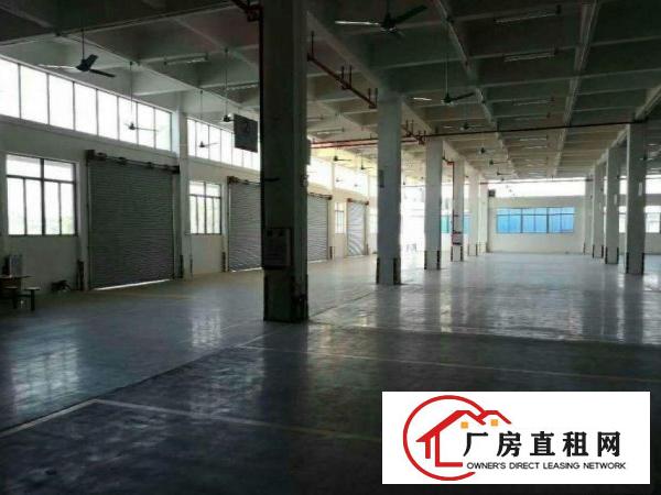  万江石美带现成办公室标准一楼1000平方急租交通方便