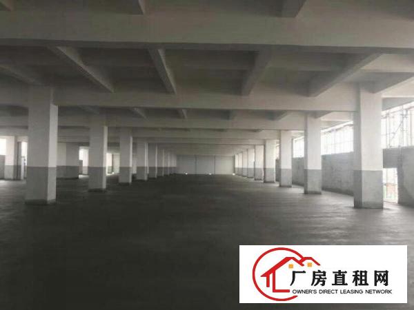  万江简沙洲标准厂房一楼1500平方出租有配套宿舍办公室
