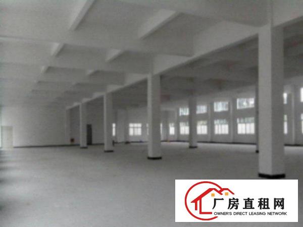  万江标准一楼厂房500平方800或1000㎡出租